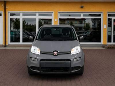 Fiat Pandina