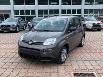 Fiat Panda 1.0 FireFly S&S Hybrid Grigio usata Castelnuovo Rangone