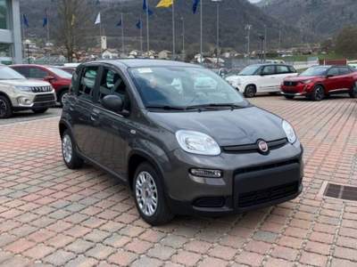 Fiat Panda 1.0 FireFly S&S Hybrid Grigio usata Castelnuovo Rangone