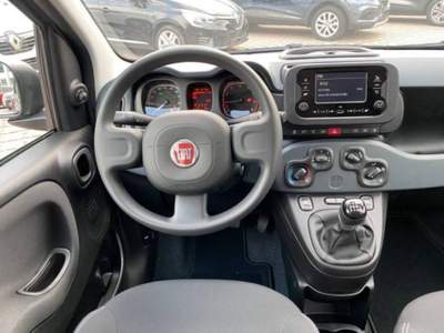 Fiat Panda 1.0 FireFly S&S Hybrid Grigio usata Castelnuovo Rangone