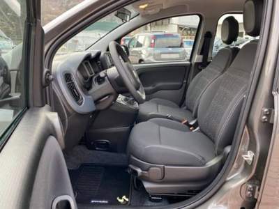 Fiat Panda 1.0 FireFly S&S Hybrid Grigio usata Castelnuovo Rangone