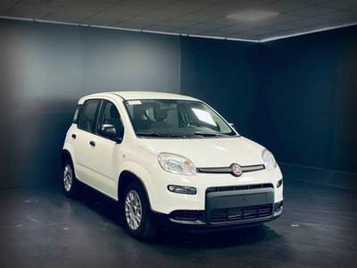 Fiat Panda 1.0 FireFly S&S Hybrid Bianco usata Castelnuovo Rangone