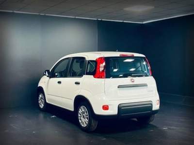 Fiat Panda 1.0 FireFly S&S Hybrid Bianco usata Castelnuovo Rangone