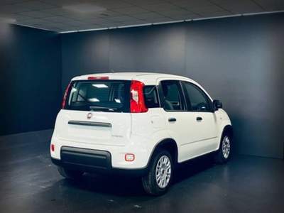 Fiat Panda 1.0 FireFly S&S Hybrid Bianco usata Castelnuovo Rangone