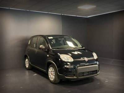 Fiat Panda 1.0 FireFly S&S Hybrid Nero usata Castelnuovo Rangone