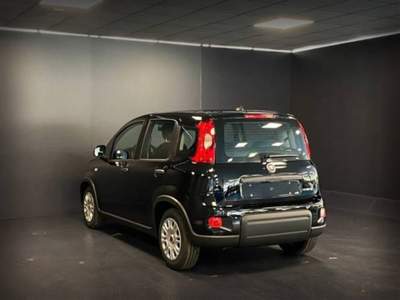 Fiat Panda 1.0 FireFly S&S Hybrid Nero usata Castelnuovo Rangone
