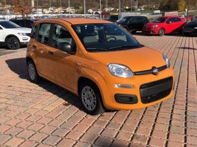 Fiat Panda 1.0 FireFly S&S Hybrid Arancione usata Castelnuovo Rangone