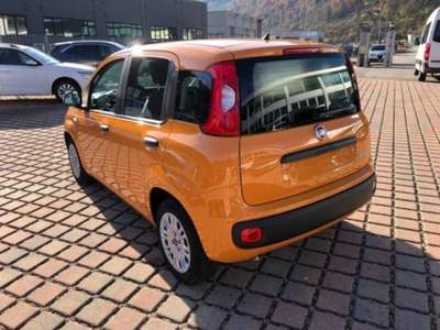 Fiat Panda 1.0 FireFly S&S Hybrid Arancione usata Castelnuovo Rangone