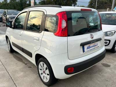 Fiat Panda Ideale per neopatentati Bianco usata Lamezia Terme