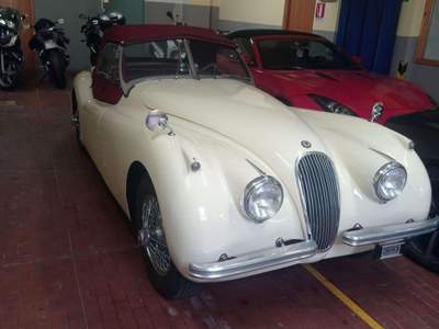 Jaguar XK JAGUAR XK 120 SPIDER Bianco usata Firenze