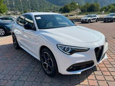 Alfa Romeo Stelvio 2.2 t Veloce Q4 210cv auto usata Cervignano del Friuli