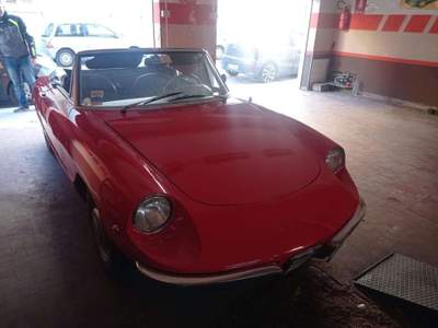 Alfa Romeo Spider ***OSSO DI SEPPIA*** DUETTO SPIDER 1.3 *TARGA ORO* Rosso usata Firenze