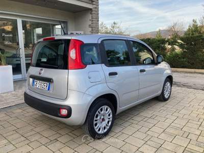 Fiat Panda 1.2 Easy Grigio usata Cortona