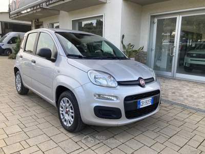 Fiat Panda 1.2 Easy Grigio usata Cortona