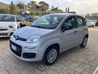 Fiat Panda 1.2 Easy Grigio usata Cortona