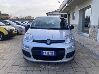 Fiat Panda 1.2 Easy Grigio usata Cortona