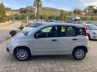 Fiat Panda 1.2 Easy Grigio usata Cortona