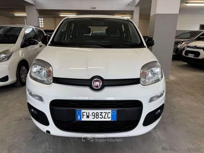 Fiat Panda Panda  0.9 t.air t. natural power Easy 70cv Bianco usata Torino