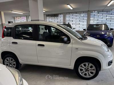Fiat Panda Panda  0.9 t.air t. natural power Easy 70cv Bianco usata Torino