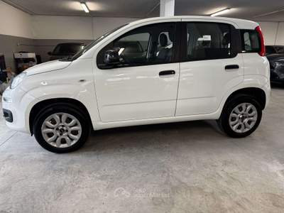 Fiat Panda Panda  0.9 t.air t. natural power Easy 70cv Bianco usata Torino