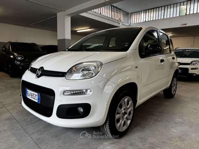 Fiat Panda Panda  0.9 t.air t. natural power Easy 70cv Bianco usata Torino