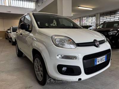 Fiat Panda Panda  0.9 t.air t. natural power Easy 70cv Bianco usata Torino