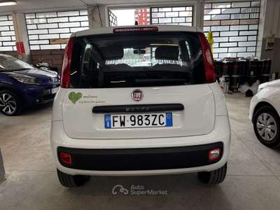 Fiat Panda Panda  0.9 t.air t. natural power Easy 70cv Bianco usata Torino