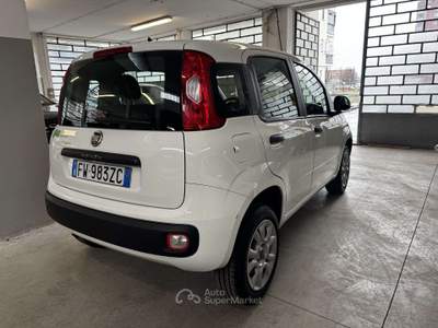 Fiat Panda Panda  0.9 t.air t. natural power Easy 70cv Bianco usata Torino