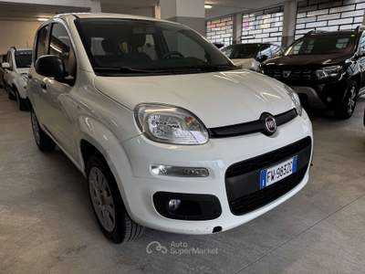 Fiat Panda Panda  0.9 t.air t. natural power Easy 70cv Bianco usata Torino