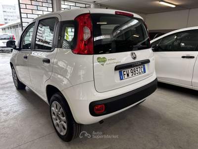 Fiat Panda Panda  0.9 t.air t. natural power Easy 70cv Bianco usata Torino