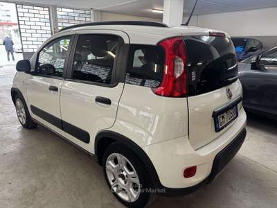 Fiat Panda Panda  1.0 firefly hybrid City Life Bianco usata Torino