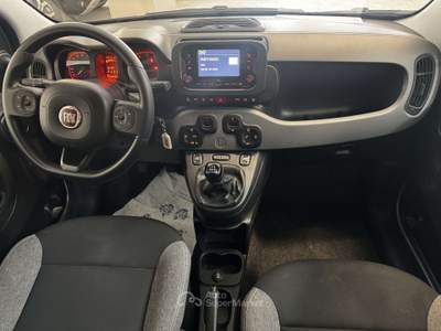 Fiat Panda Panda  1.0 firefly hybrid City Life Bianco usata Torino