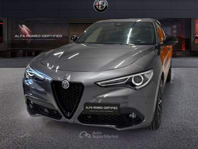 Alfa Romeo Stelvio 2.2 TD 210 CV Veloce AT8 Q4 Grigio usata Palermo
