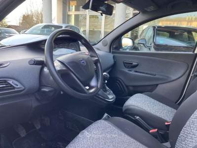 Lancia Ypsilon 1.2 69 CV 5 porte GPL Ecochic Gold Bianco usata Rivignano Teor