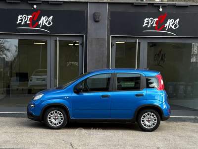 Fiat Panda Comandi al volante e sensori di parcheggio Blu/Azzurro usata Moncalieri