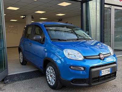 Fiat Panda Comandi al volante e sensori di parcheggio Blu/Azzurro usata Moncalieri