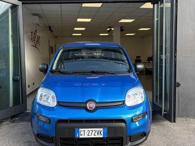 Fiat Panda Comandi al volante e sensori di parcheggio Blu/Azzurro usata Moncalieri