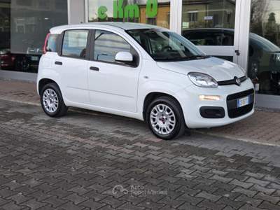 Fiat Panda Easy Bianco usata Cotignola