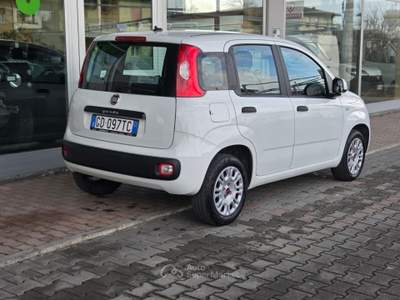 Fiat Panda Easy Bianco usata Cotignola