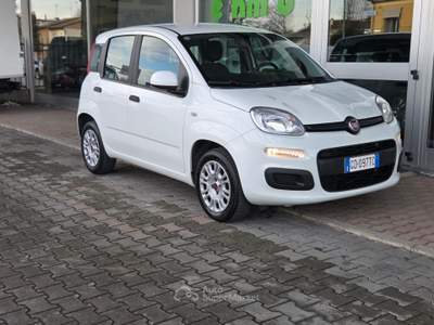 Fiat Panda Easy Bianco usata Cotignola