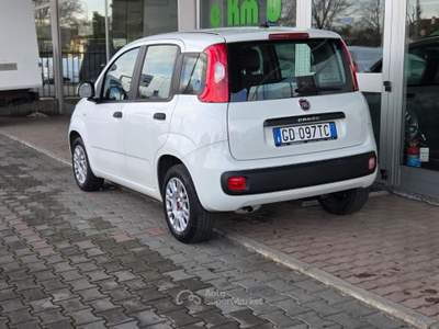 Fiat Panda Easy Bianco usata Cotignola