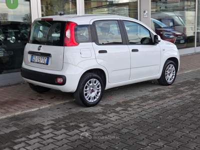 Fiat Panda Easy Bianco usata Cotignola