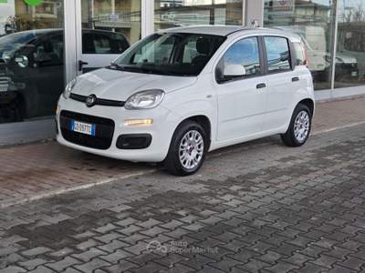 Fiat Panda Easy Bianco usata Cotignola