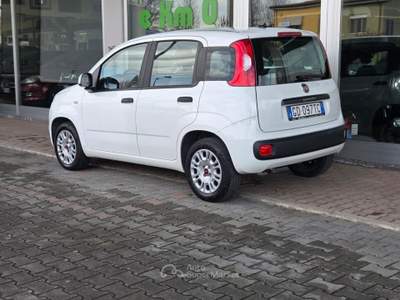 Fiat Panda Easy Bianco usata Cotignola