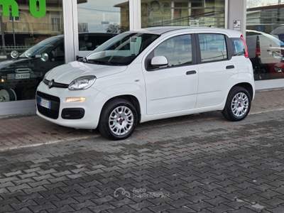Fiat Panda Easy Bianco usata Cotignola