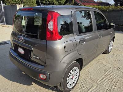 Fiat Panda FireFly 70cv S&S Hybrid Grigio usata Robassomero