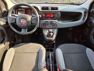 Fiat Panda FireFly 70cv S&S Hybrid Grigio usata Robassomero