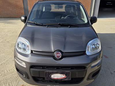 Fiat Panda FireFly 70cv S&S Hybrid Grigio usata Robassomero