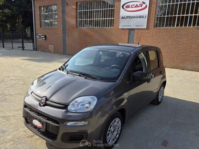 Fiat Panda FireFly 70cv S&S Hybrid Grigio usata Robassomero