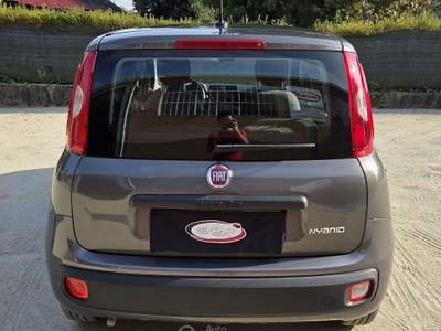 Fiat Panda FireFly 70cv S&S Hybrid Grigio usata Robassomero